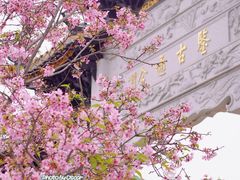-宝墨园景区