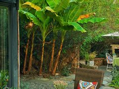 -看见远方·莫干遥远的山民宿