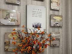 -爱的果实月嫂育婴师(世纪东方店)