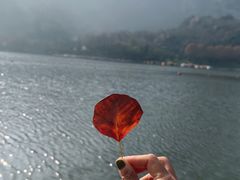 -秦岭终南山世界地质公园翠华山景区