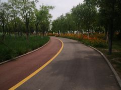 -天津东丽湖风景区