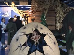 -重庆欢乐海底世界