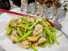 香芹炒鲜鲍-朱仔记食府(江南大道店)