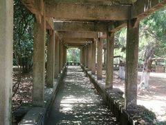 -灵谷景区
