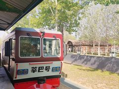 -秦皇岛野生动物园
