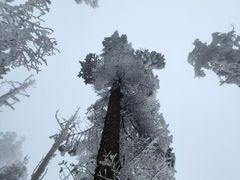 -瓦屋山景区