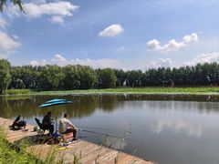 -白渔泡湿地公园