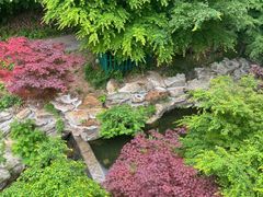 -大伊山景区