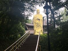 -徽园
