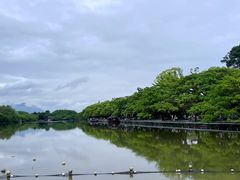 -江心屿景区