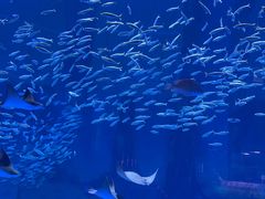 -长沙湘江欢乐雪域