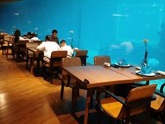 -涛·海底餐厅·美人鱼·自助餐·海底隧道(三亚海棠湾洲际度假酒店)