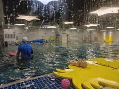 -蓝旗亲子游泳(范湖万达广场店)