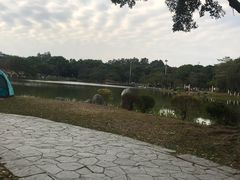-东莞植物园