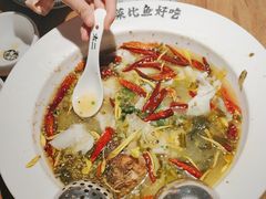 -太二酸菜鱼(正大广场店)