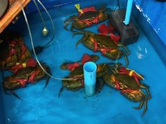 -Paak Dang Riverside 红嘴河畔餐厅