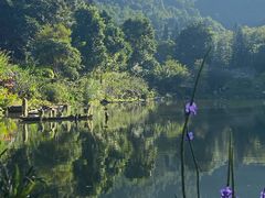 -深圳仙湖植物园