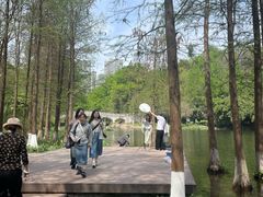 -重庆彩云湖湿地公园