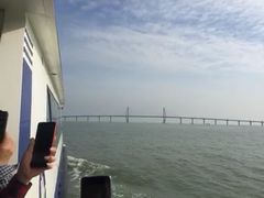 -港珠澳大桥码头