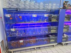 -大润发(康桥店)