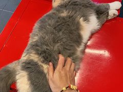 -KingBull私教健身&格斗订制(龙井商业中心店)