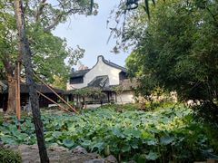 -上海醉白池公园