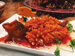-田园小观园(武大店)