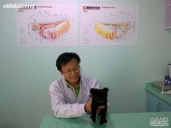 -瑞派·关忠动物医院·猫专科·犬专科(三环新城店)