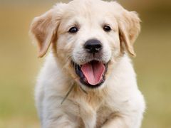 -维利康(梅山店)