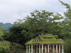 -中国科学院西双版纳热带植物园