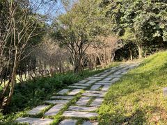 -番禺大夫山森林公园
