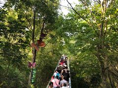 -天目湖山水园