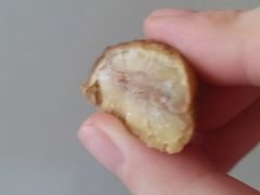 -二斗栗子(黄河道店)