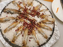 蛏子-华盛丰温州大排档(东三环南路店)