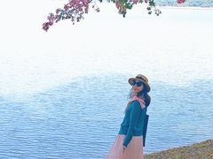 -大屏嶂森林公园