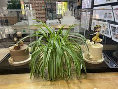 -王森咖啡西点烘焙培训(上海名厨中心店)