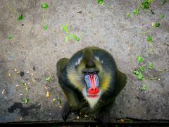 -西安秦岭野生动物园