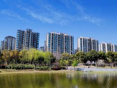 -南翔镇银翔湖公园