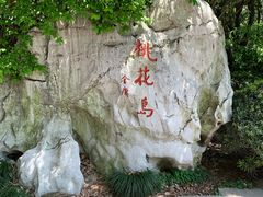 -金鸡湖桃花岛