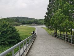 -上海月湖雕塑公园