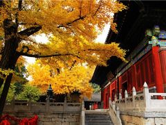 -红螺寺
