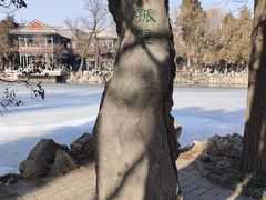 -莲池书院博物馆