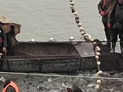 -南京金牛湖风景区