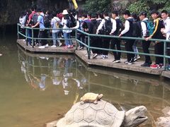 -陶祖圣境风景区