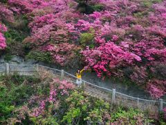 -木兰云雾山