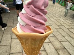 -井之头恩赐公园