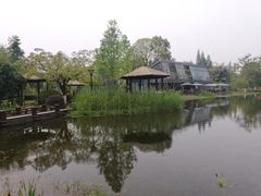 -成飞公园