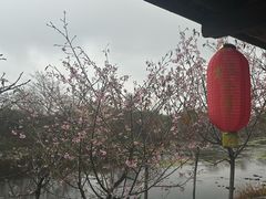 -荔江湾景区