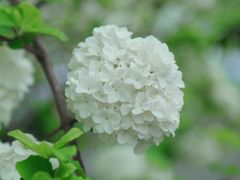 -大龙山(地铁站)