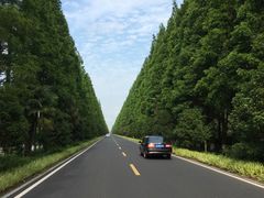 -黄海国家森林公园